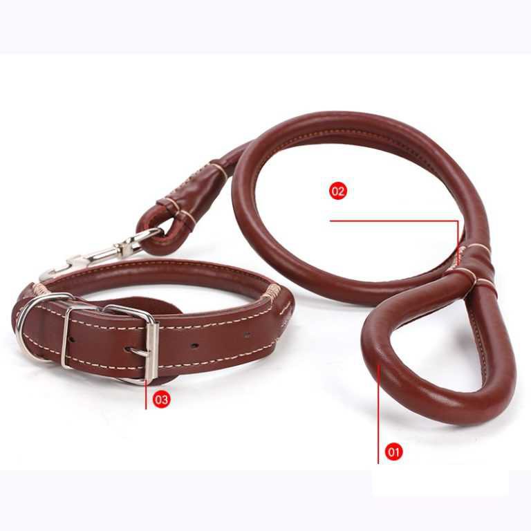 Dây Da Trơn Đeo Cổ Cho Thú Cưng Loại Vừa, Chất Liệu Da Cao Cấp Cho Độ Bền Cao [FREESHIP TOÀN QUỐC] [SALE LỚN]