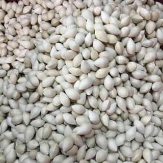 Bạch quả ( quả ngân hạnh ) 1kg