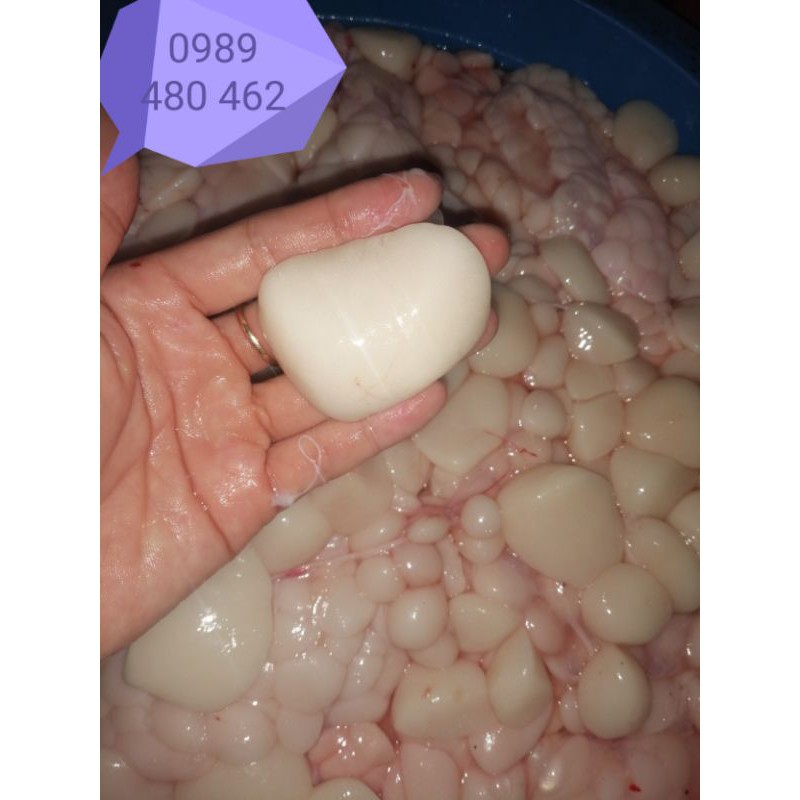 0.5 ký mỡ trăn tươi nguyên chất | BigBuy360 - bigbuy360.vn