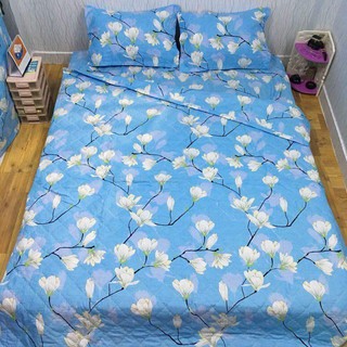 Bộ ga áo gối cotton korea