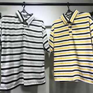 Áo polo sọc vàng