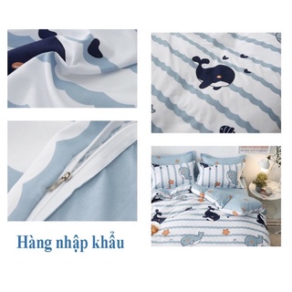 bộ chăn ga gối poly nhập khẩu