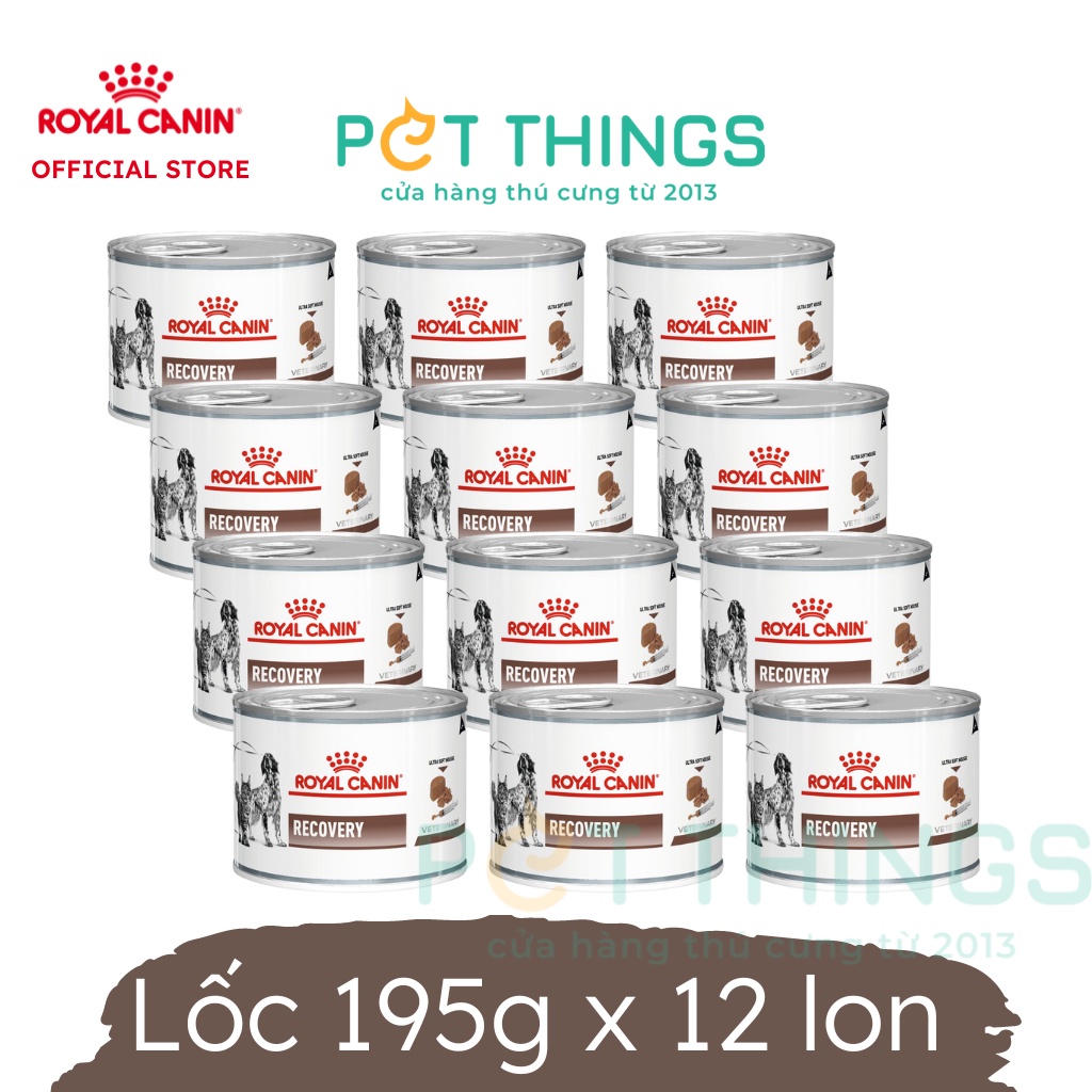 Pate Royal Canin Recovery lon 195g phục hồi sức khỏe cho chó mèo, 1 hộp
