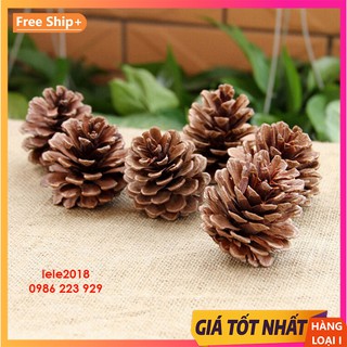 Quả thông trang trí cây thông noel và sự kiện giáng sinh