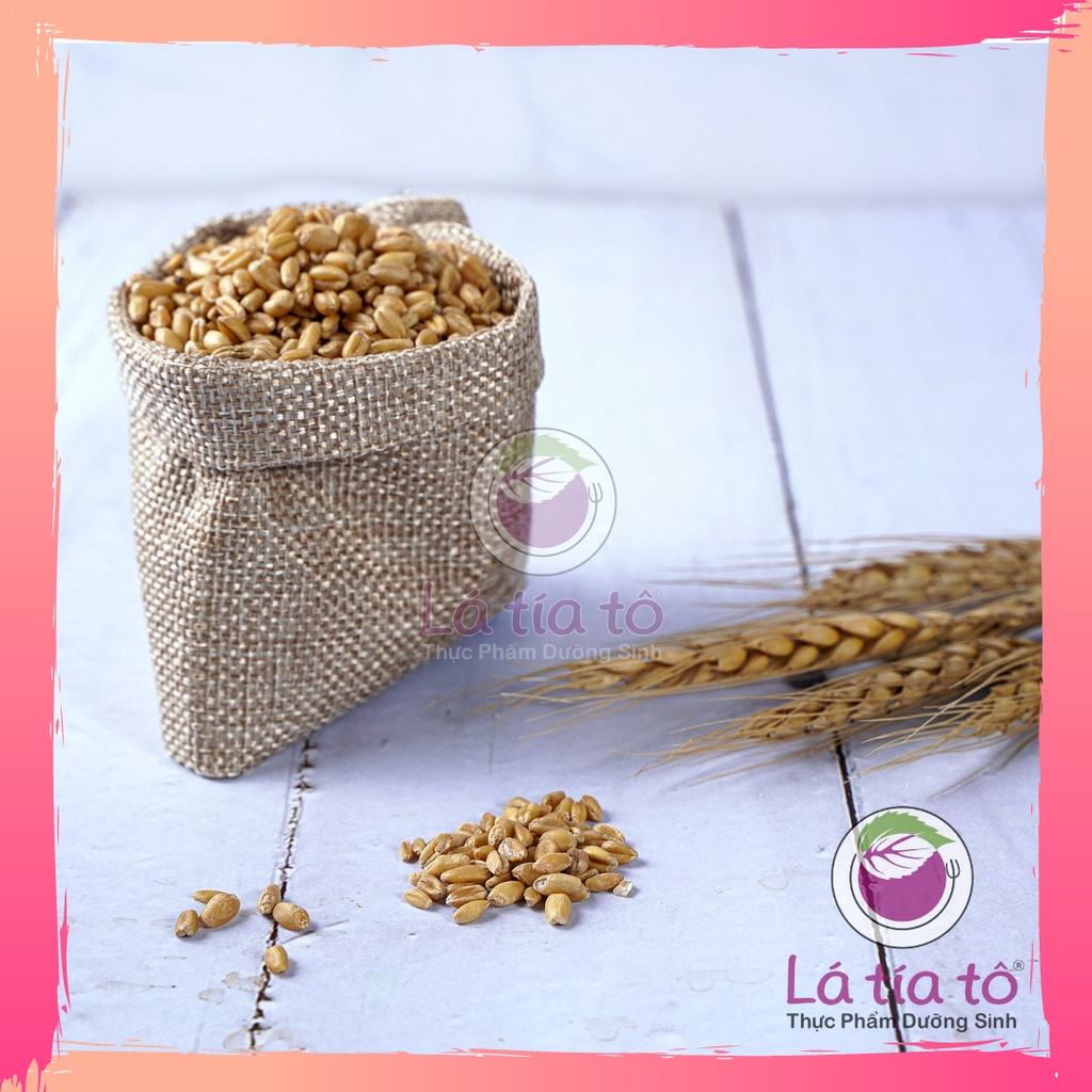 HẠT LÚA MẠCH 500GR PHA TRÀ GIẢM CÂN LÁ TÍA TÔ