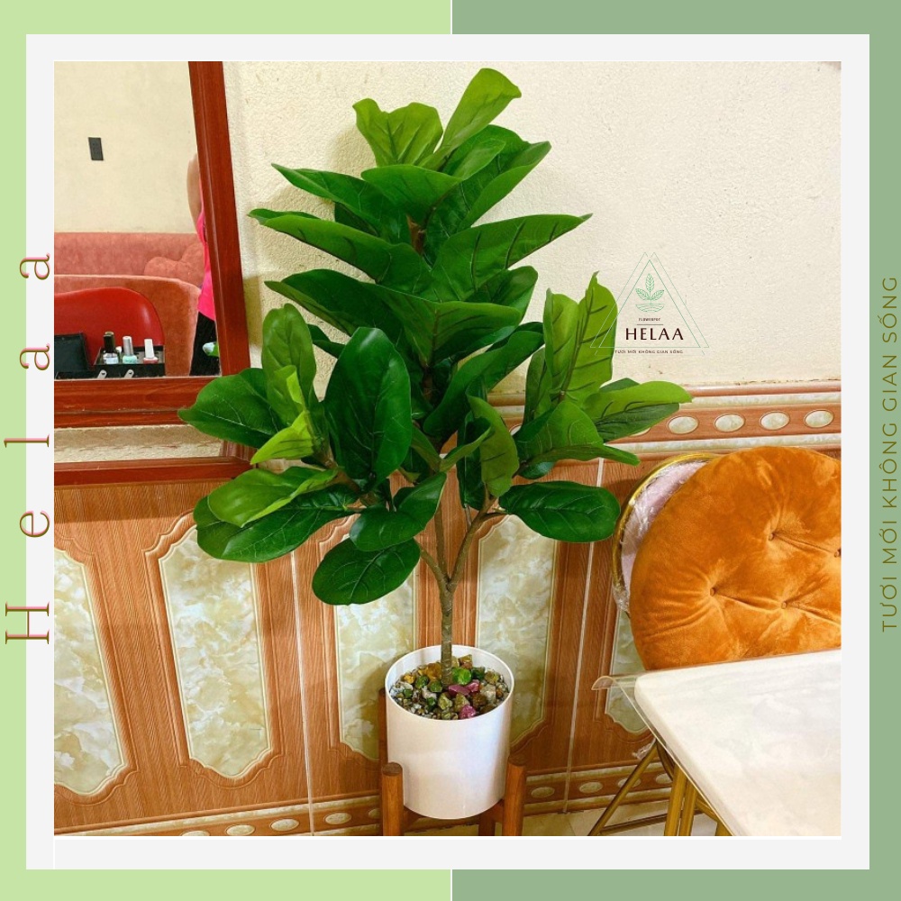 Chậu Nhựa Giả Sứ Hình Trụ Tròn, Chậu Nhựa Trồng Hoa, Cây Cảnh Lớn, Sen Đá, Xương Rồng, Trong Nhà ,Sân Vườn - Đủ Size