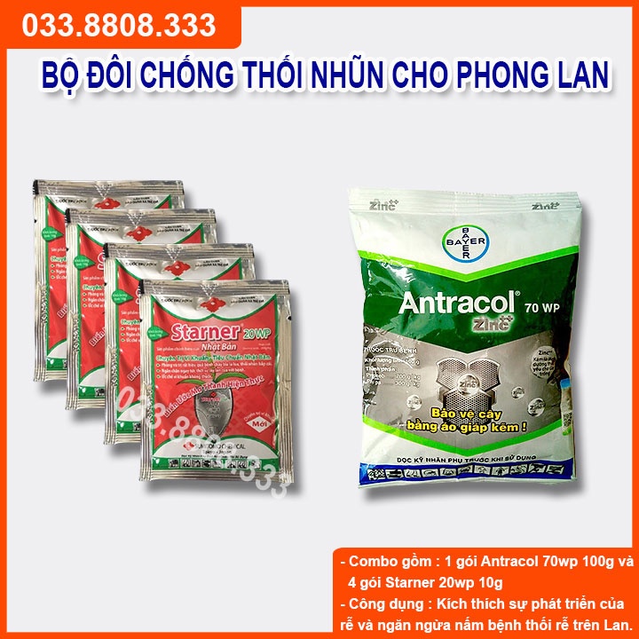 Bộ Sản Phẩm Chống Thối Nhũn Cho Lan Gồm ANTRACOL VÀ 4 STARNER