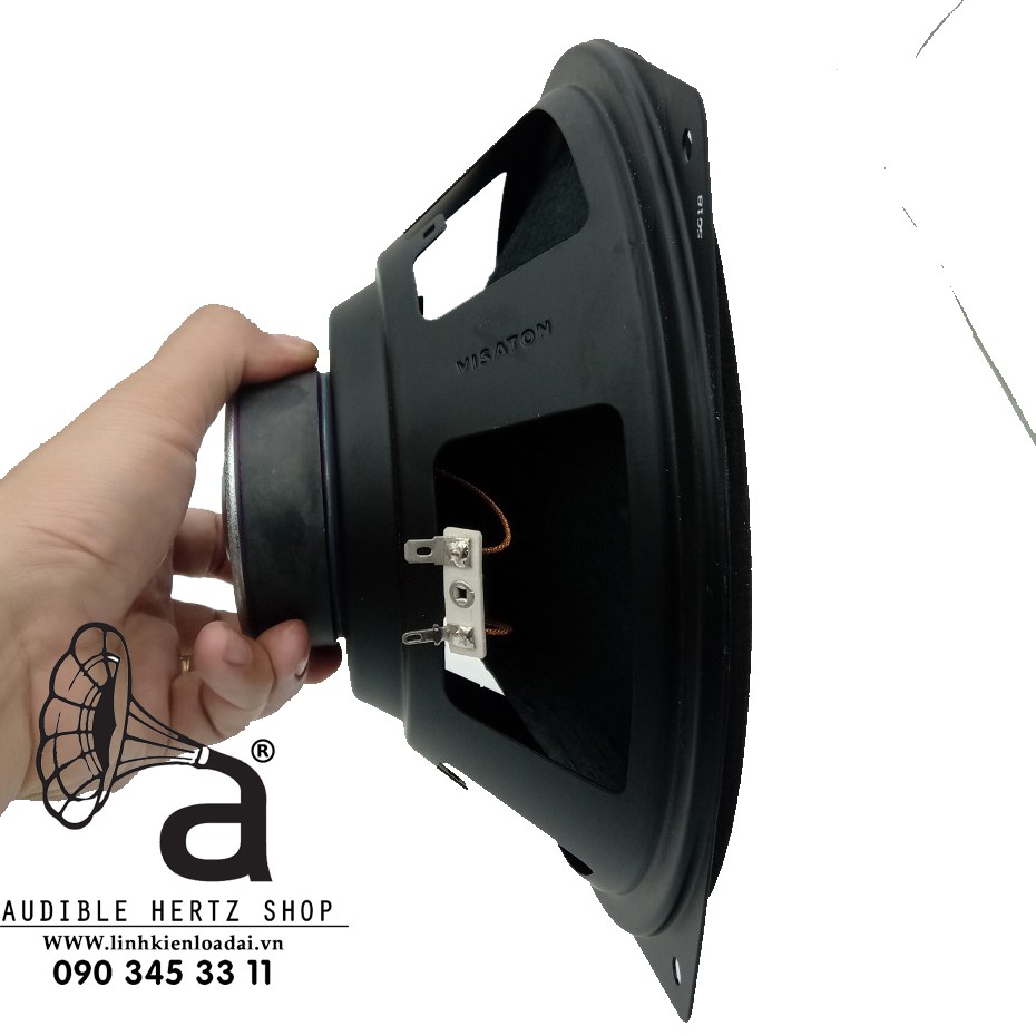 Củ loa bass rời 25cm Visaton WS 25 E, giá bán theo cặp