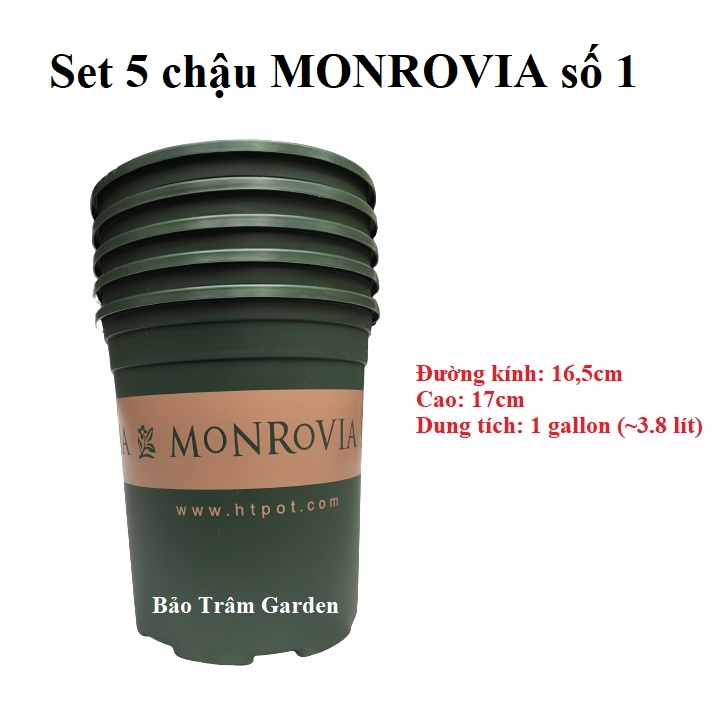 Set 5 chậu nhựa trồng cây cao cấp Monrovia số 1