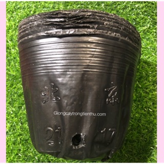 1KG TÚI BẦU CHUYÊN DÙNG TRỒNG CÂY HOA ,CÂY CẢNH,CÂY ĂN QUẢ...(21 x 17cm)