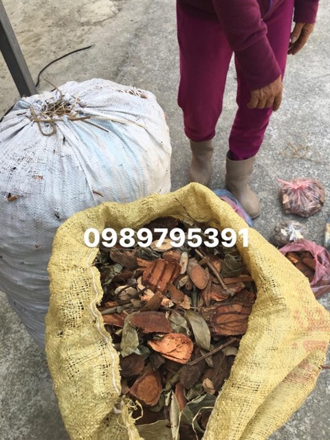 LÁ THUỐC TẮM NGƯỜI DAO ĐỎ SA PA (1KG) | BigBuy360 - bigbuy360.vn