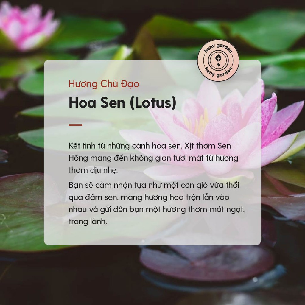 Xịt Thơm Hương Sen Hồng 100ml | Khử Mùi Phòng, Mùi Hôi Giày, Diệt Khuẩn | Tặng Tinh Dầu Mẫu Thử | Heny Garden
