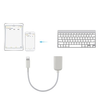 Cáp USB OTG Sang Dành Cho ip,tablet táo