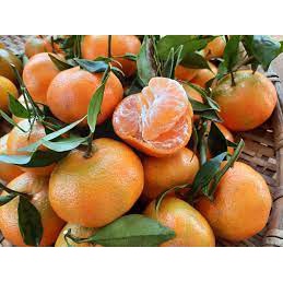 Quýt Thái Mọng Nước thơm ngon ngọt Giao Siêu Tốc 1h