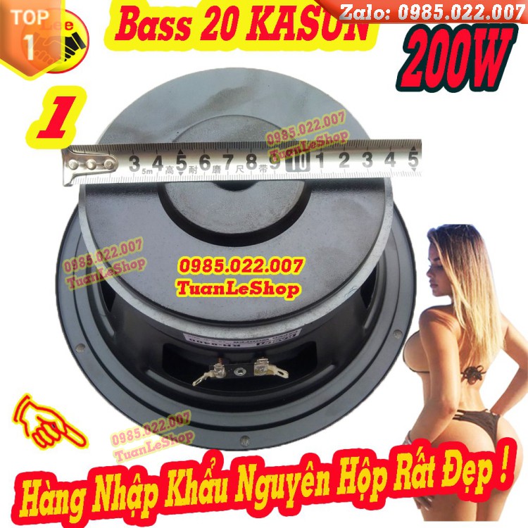 LOA BASS 20 KASUN CHÍNH HÃNG KH8400 - GIÁ 1 LOA 2 TẤC