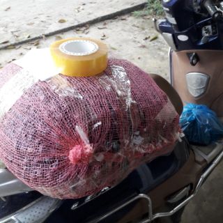 Trám đen