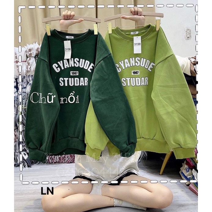 Áo nỉ bo cotton cyansude LN12