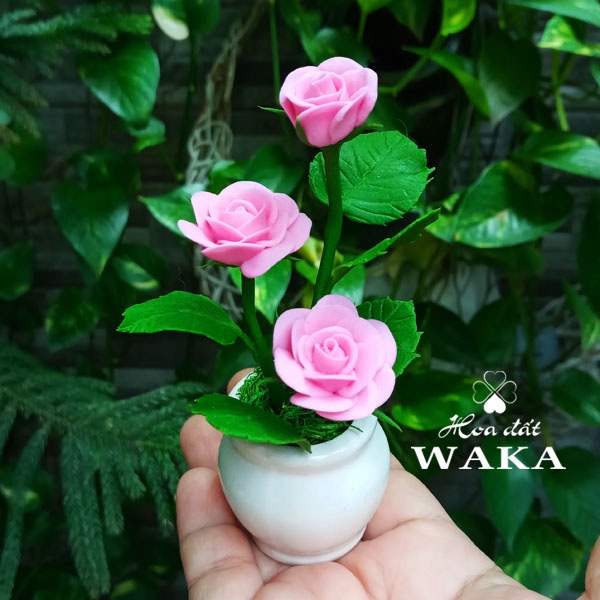 Hoa Đất Sét Mini- Hồng