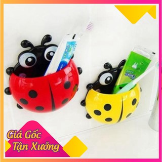 BỌ CÁNH CAM TREO BÀN TRẢI GẮN TƯỜNG