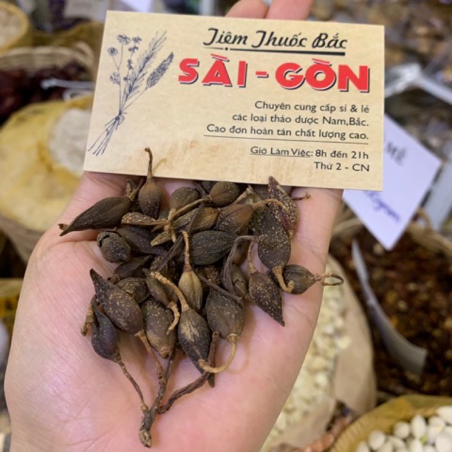 Quả Liên Kiều 100g