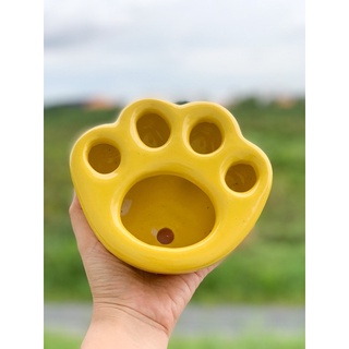 Chậu chân mèo trồng sen đá, sen mông