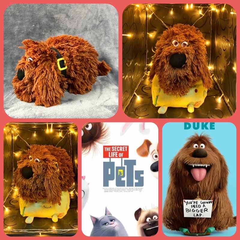 CHÚ CHÓ DUKE - PHIM ĐẲNG CẤP THÚ CƯNG - HÀNG SƯU TẦM - DUY NHẤT MỘT EM