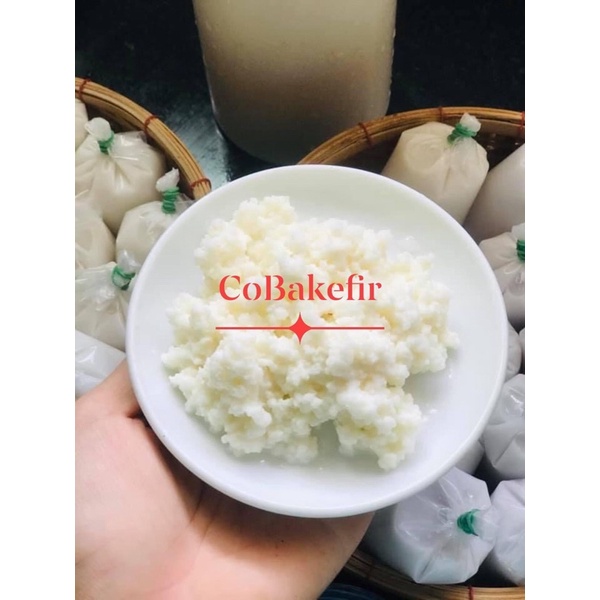 Combo nấm sữa cho ng mới bắt đầu