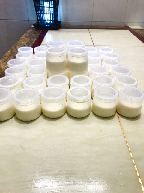 [Rẻ vô địch] Set 200 hũ sữa chua 120 ml