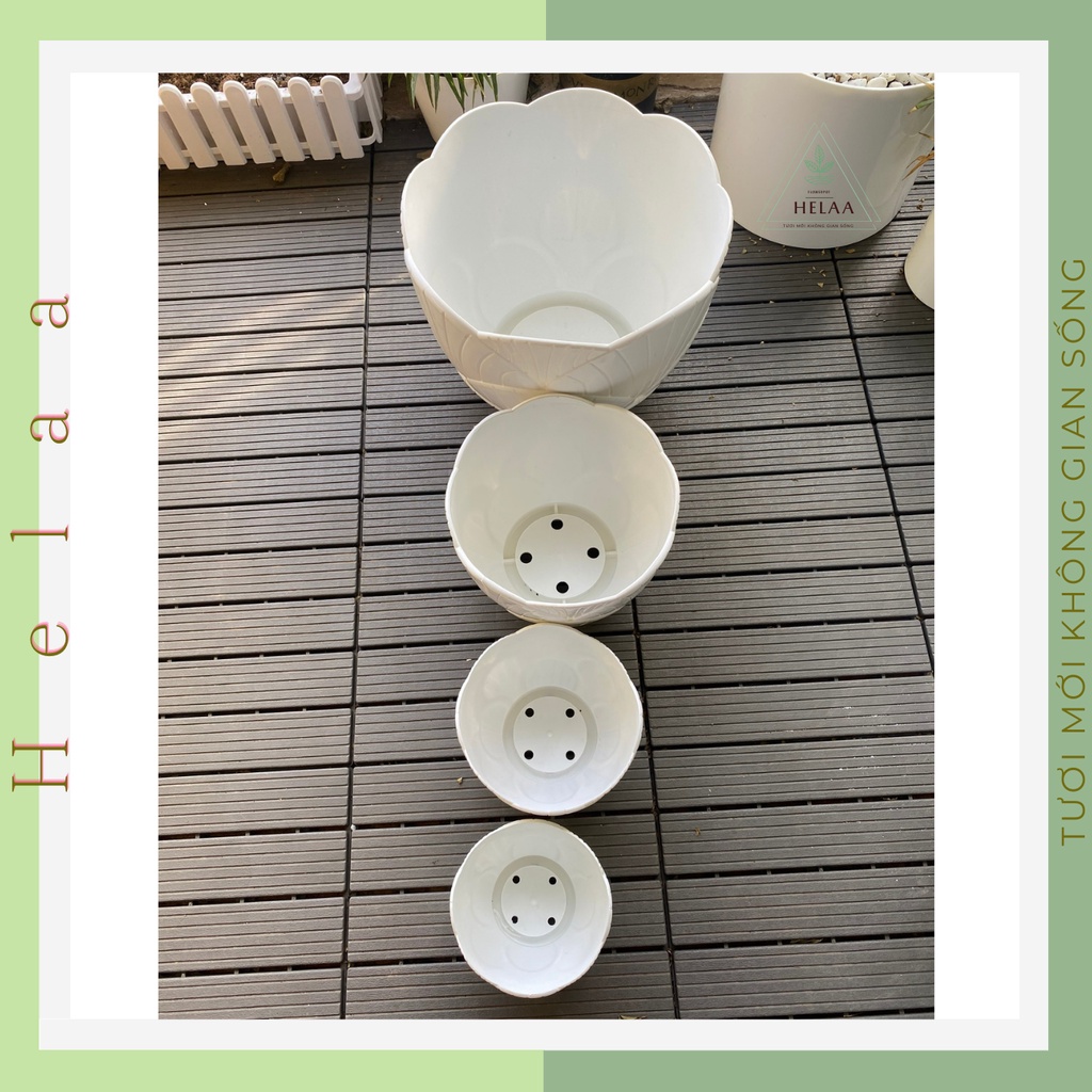 Chậu Nhựa Giả Sứ Hình Bông Hoa , Chậu Hoa Nhựa Trồng Cây Cảnh Siêu Đẹp, Hàng CN Dày, Cứng, Bền Đủ Size
