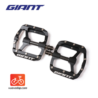 Bàn đạp pedal giant – hill carbon bạc đạn