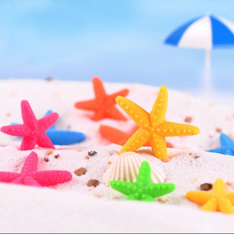 Set 10 sao biển mini nhiều màu sắc trang trí sân vườn