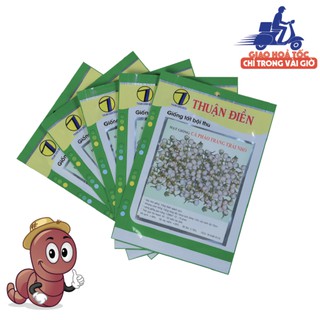 [HẠT GIỐNG QUẢ CÀ PHÁO TRẮNG] chất lượng hạt giống nảy mầm cao, ngon, giòn