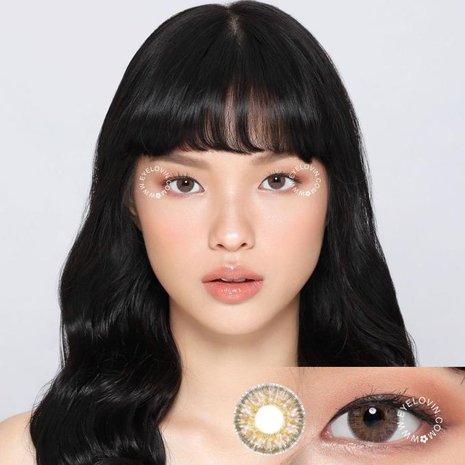 Eyelovin Evar Softlens - Belle Brown
