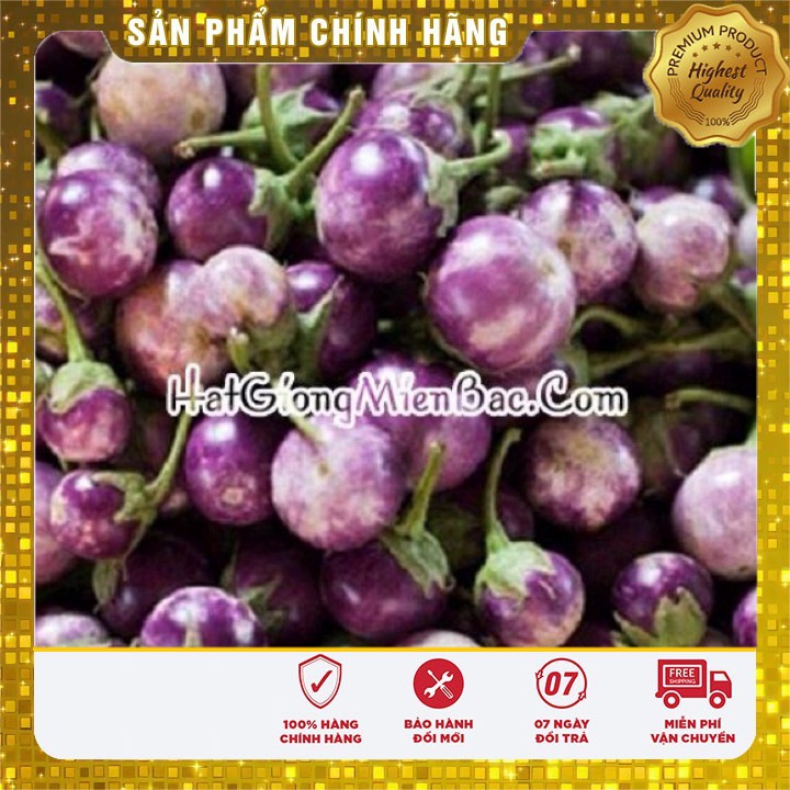 Hạt Giống Cà Pháo Tím(2 gr)