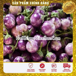 Hạt Giống Cà Pháo Tím(2 gr)