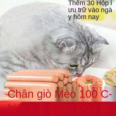 Mèo Snack Cat Dành riêng Ham Xúc xích Pet Xúc xích Thủ thuật mập mặn Muối dinh dưỡng Thực phẩm Mèo Thực phẩm Mèo