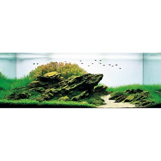 Đá Tiger Setup bể Cá cảnh, bể Thuỷ sinh (1kG)