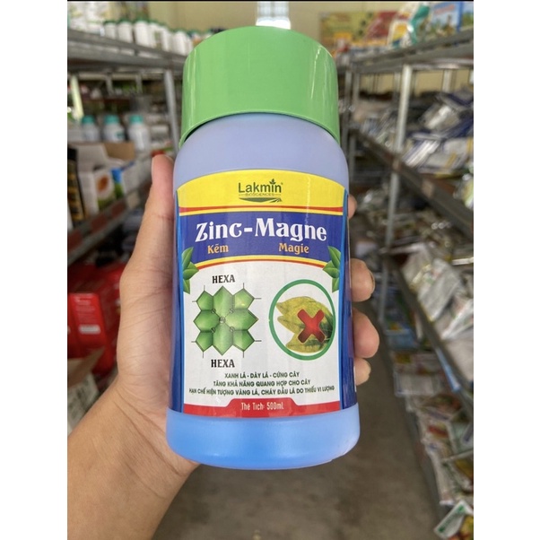 Phân bón vi lượng MAGIE KẼM  giúp lá to, xanh dày, bóng mượt, tăng khả năng quang hợp cho bộ lá.
