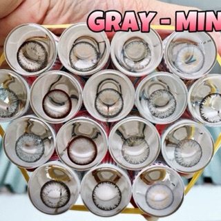 Lens xám mới
