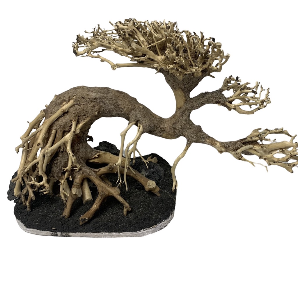 [NHẬN QUÀ KHI MUA ĐƠN 39K] Cây Bonsai Thuỷ Sinh Đã Tạo Dáng Và Ghép Đá - Bonsai Trang Trí Hồ Cá, Bể Cá