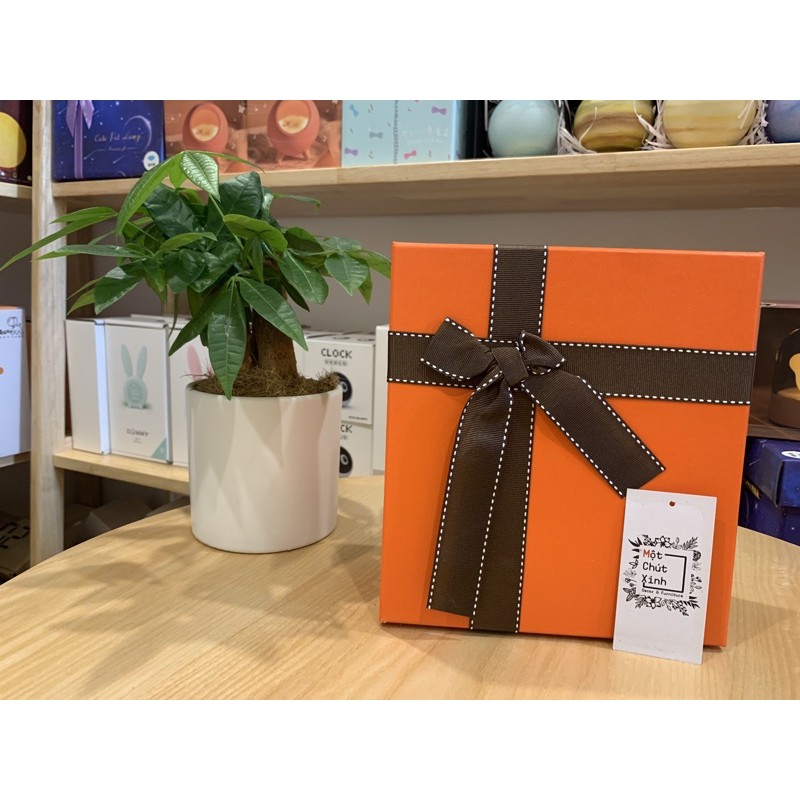 Hộp quà tặng sinh nhật, Valentine ❤️FREESHIP🍀 Hàng có sẵn | BigBuy360 - bigbuy360.vn