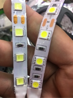 LED dây 5054 12V ko keo