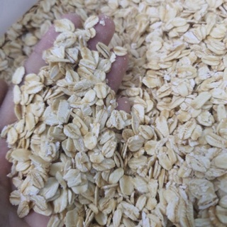Yến mạch dinh dưỡng cho hamster