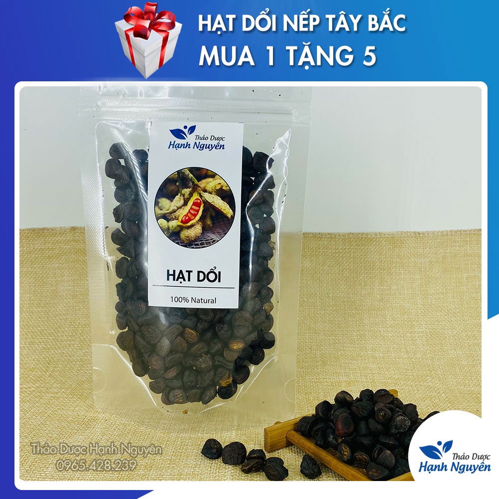 100g Hạt Dổi Rừng (Hạt Dổi Nếp Tây Bắc)