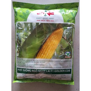 Hạt giống bắp mỹ golden cob Hai Mũi Tên Đỏ  gói 500g