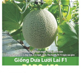 Hạt Giống Dưa Lưới Chịu Nhiệt, Năng Suất Cao 10 Hạt