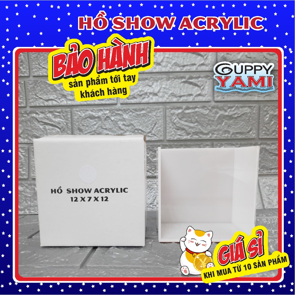 Hồ Show cá Guppy mica siêu trong - Bể Show cá Betta Acrylic - Keo Show cá Guppy, in tên theo yêu cầu giá xưởng 12x7x12