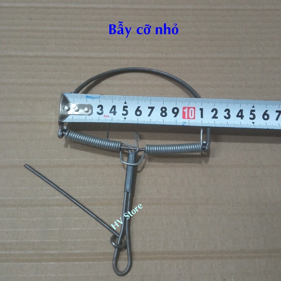 Bẫy chuột kẹp các kích cỡ