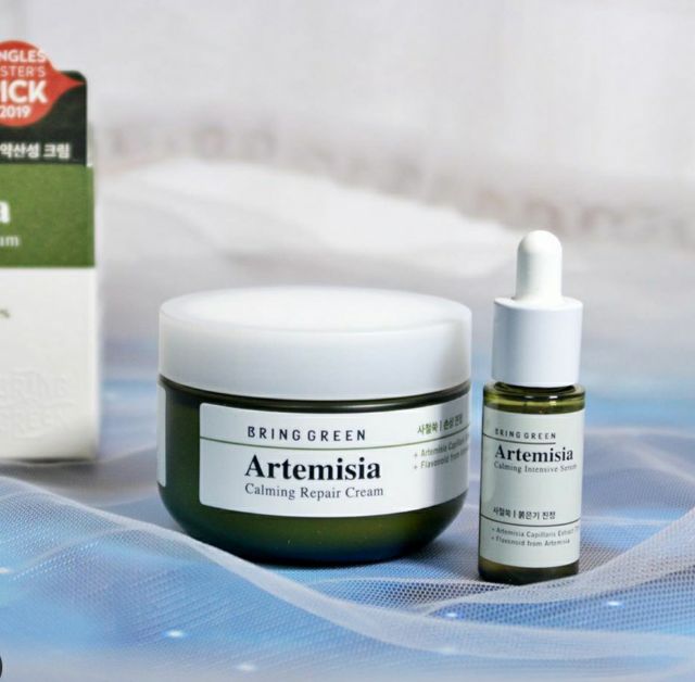 Kem dưỡng ngải cứu BRING GREEN CALMING WATER CREAM( Hàng tách set-không có hộp giấy) | BigBuy360 - bigbuy360.vn