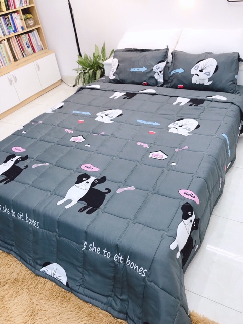 Combo ga  chun + 2 vỏ gối nằm Đũi mềm mịn. nhắn tin để chọn mẫu